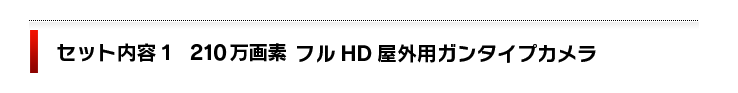 セット内容１　210万画素ダーファテクノロジー社製　ガンタイプカメラ